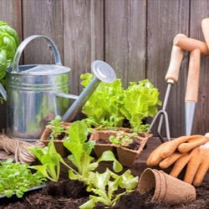 Gardening